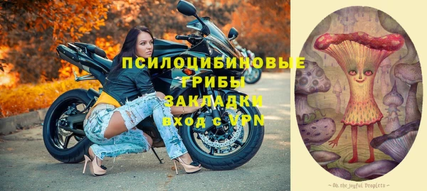 индика Лиски