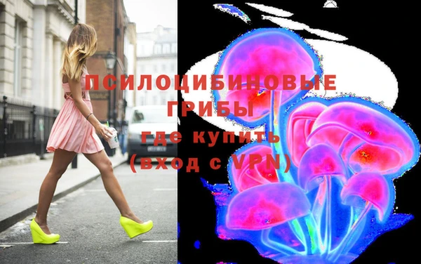 индика Лиски