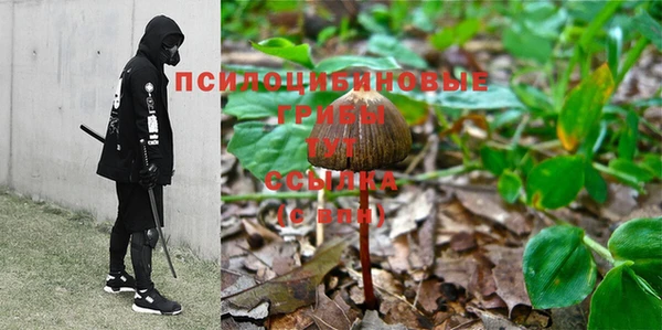 первитин Снежинск