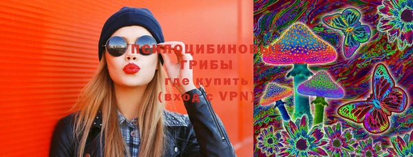 индика Лиски