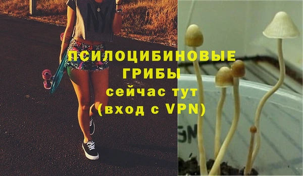 СК Сясьстрой
