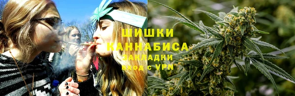 индика Лиски