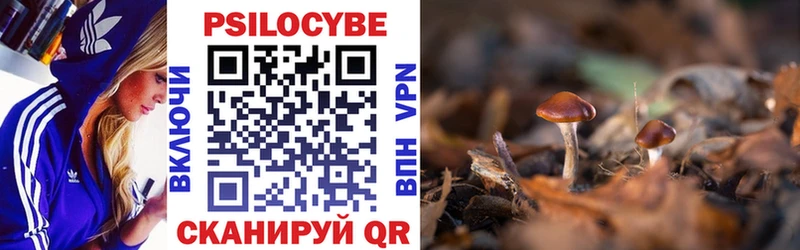Псилоцибиновые грибы GOLDEN TEACHER где купить наркоту Усть-Джегута