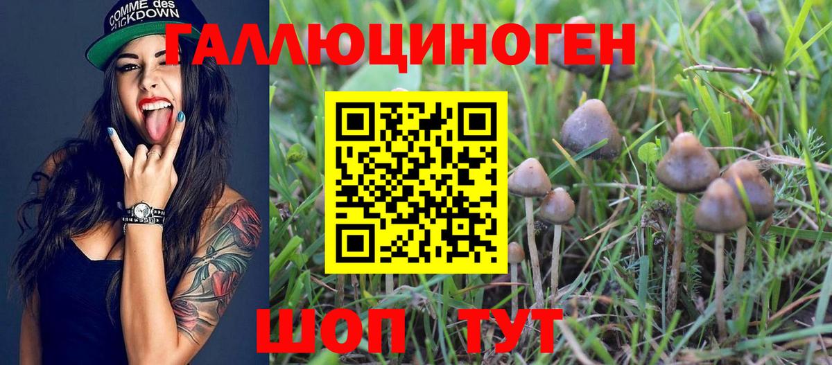 Галлюциногенные грибы мухоморы Усть-Джегута