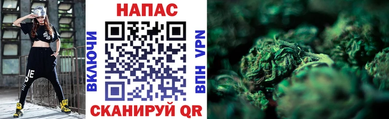 Конопля SATIVA & INDICA  Усть-Джегута 